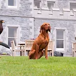 Mount Falcon Estate Hotel Ballina (Mayo)