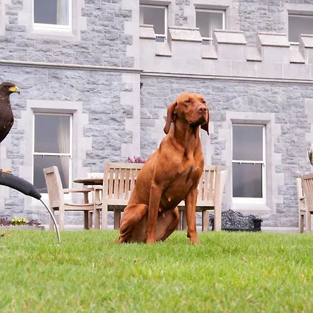 Mount Falcon Estate מלון בלינה