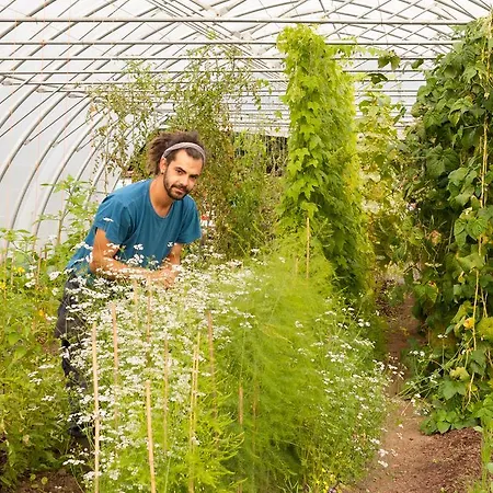 מלון Mount Falcon Estate בלינה