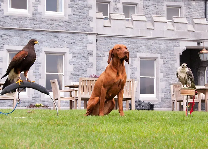 Mount Falcon Estate מלון בלינה