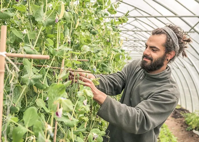 מלון Mount Falcon Estate