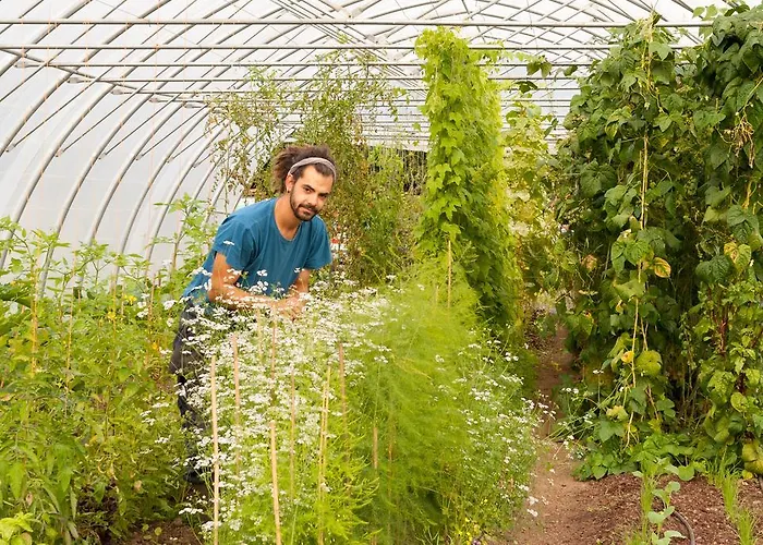 מלון Mount Falcon Estate בלינה