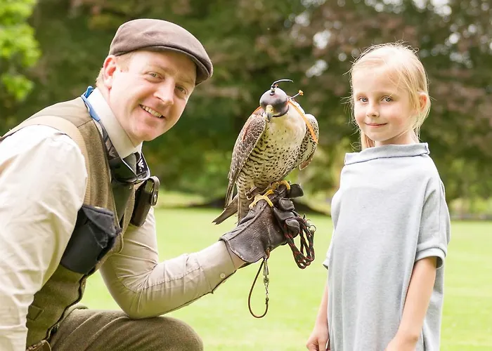 Mount Falcon Estate 4*