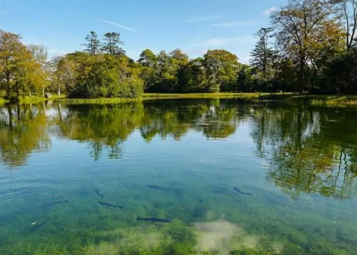 Mount Falcon Estate מלון